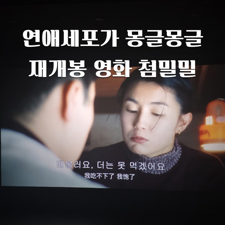 <b>첨밀밀</b> 영화 후기, 사랑은 결국 타이밍이었다