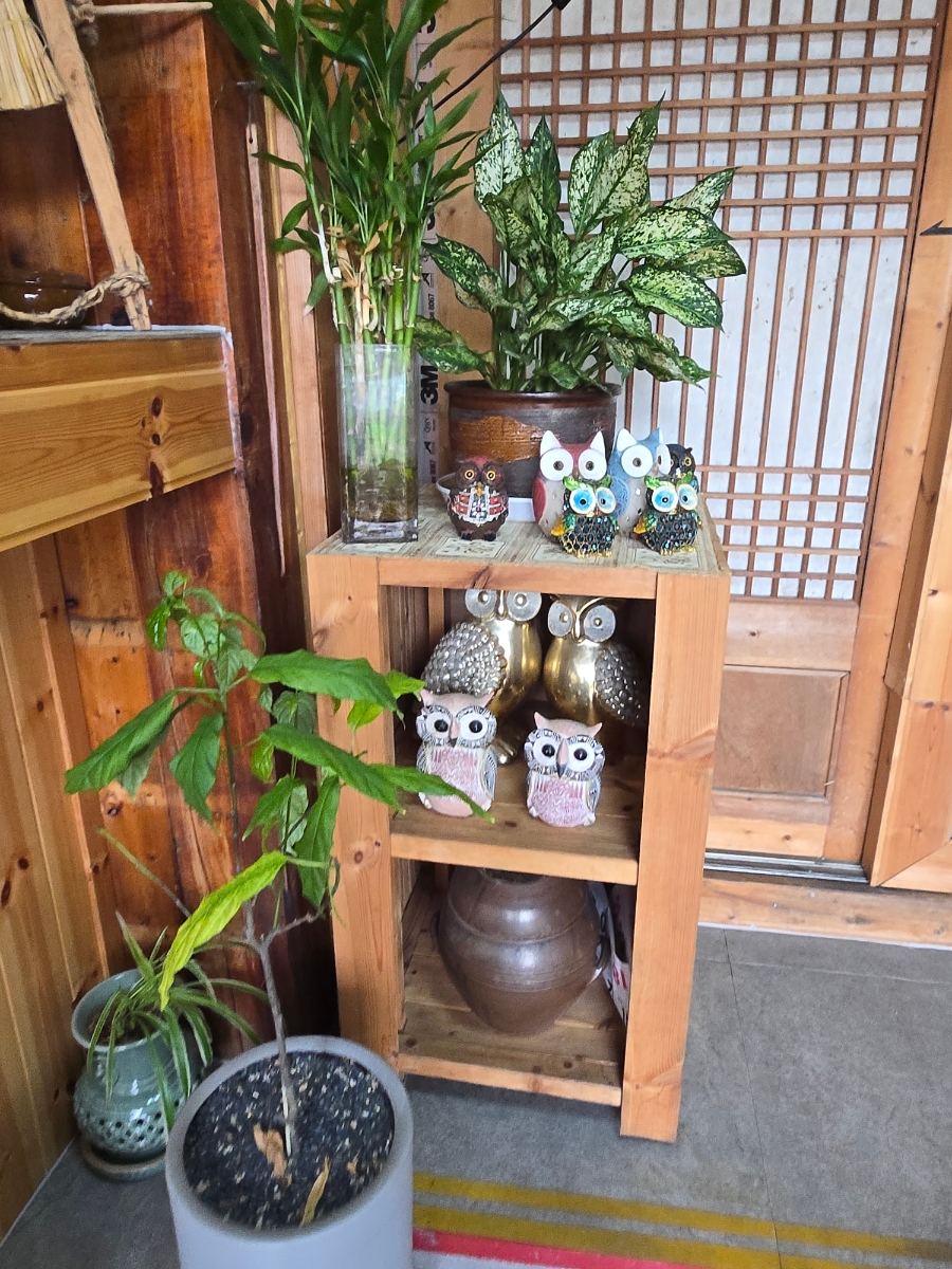 참숯오리 사진 5
