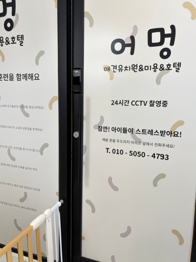 사진 3