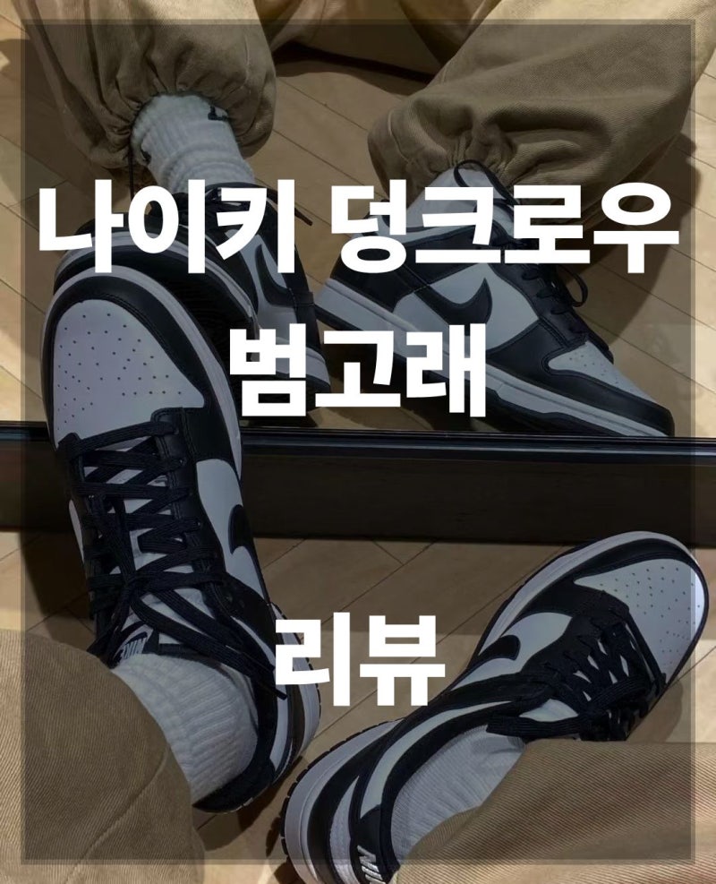 [신발리뷰] 나이키 덩크로우 범고래