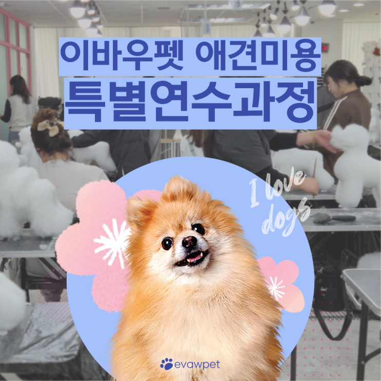  구월동 애견미용학원 비용정리, 취창업까지 연결되는 과정