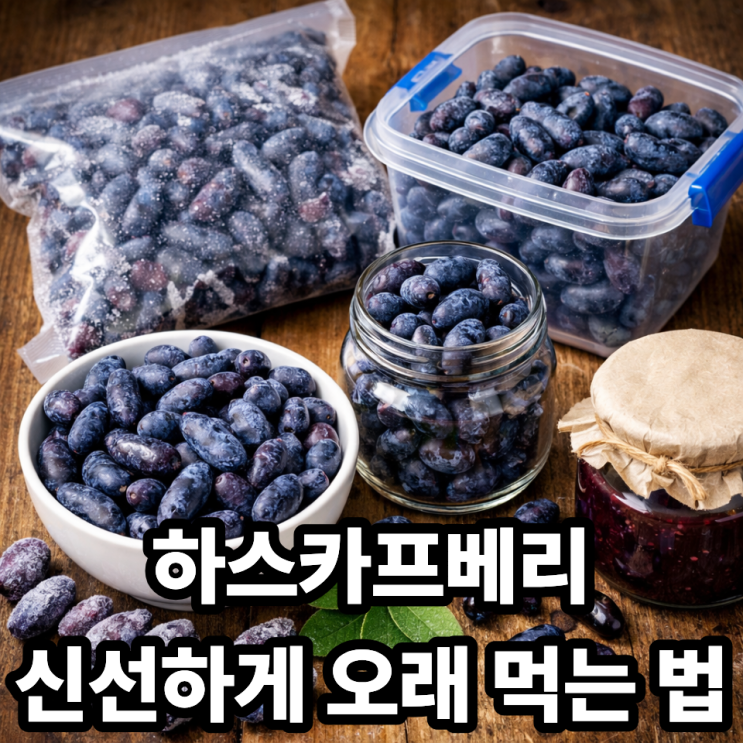  하스카프베리 보관법 총정리  신선하게 오래 먹는 꿀팁