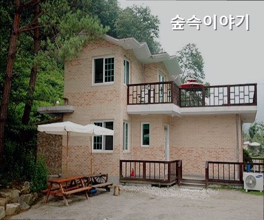 숲속이야기 사진 1
