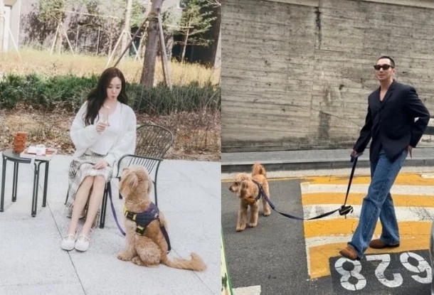 <b>변요한</b><b>티파니</b>, 나란히 올린 럽스타그램의 진실…같은 반려견에 ....