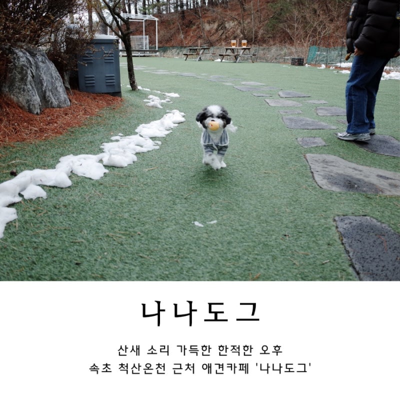 사진 5