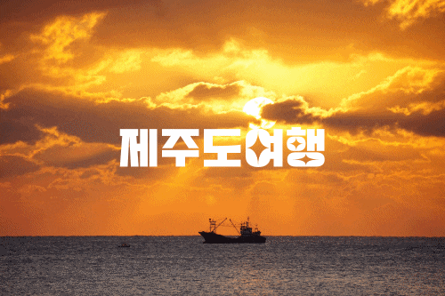  제주 여행 하루 코스 3곳 추천