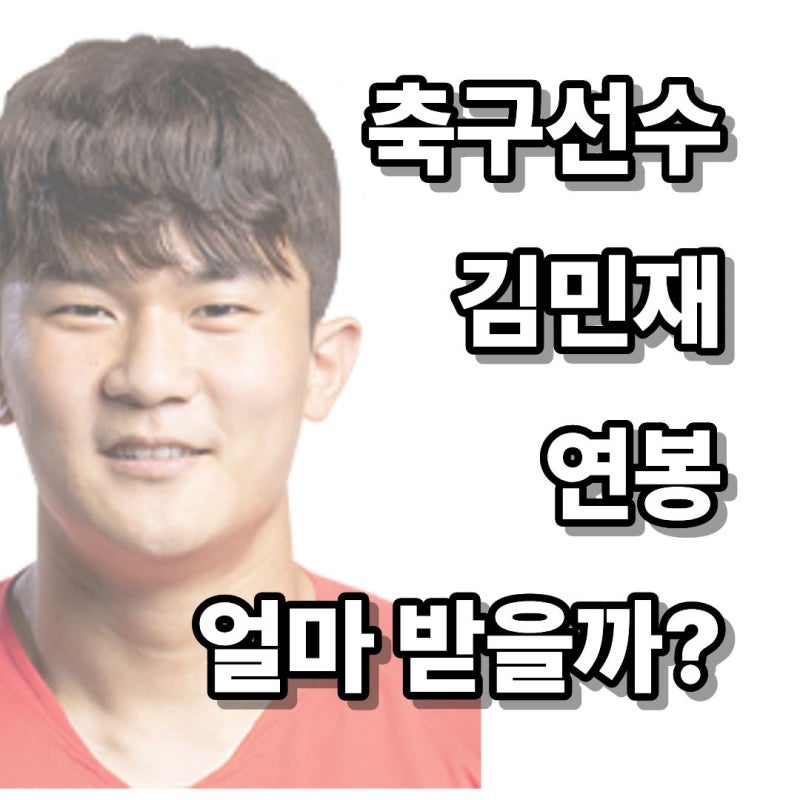 "한국 수비의 자존심 김민재" 연봉이 도대체 얼마일까?