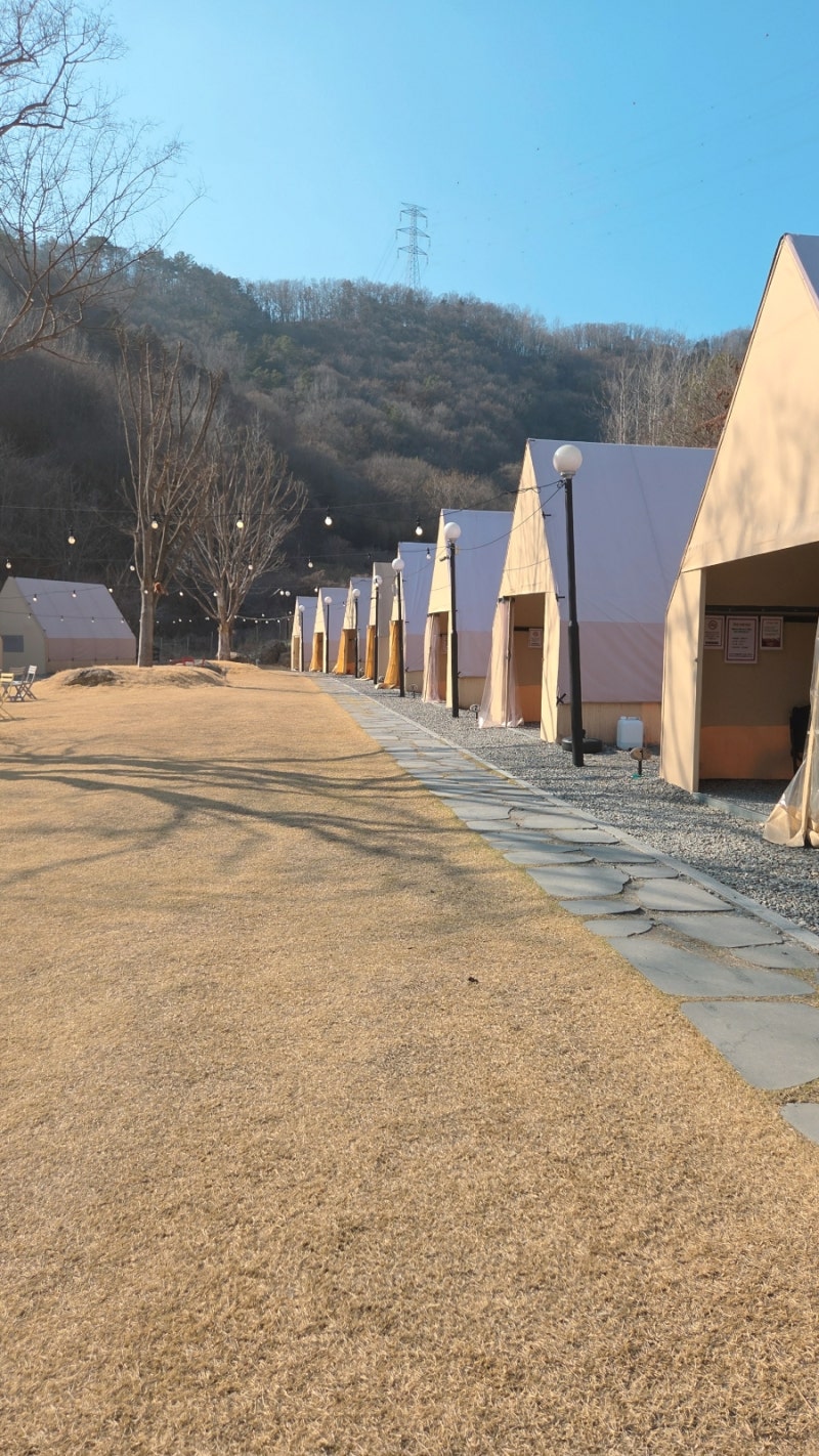 사진 9
