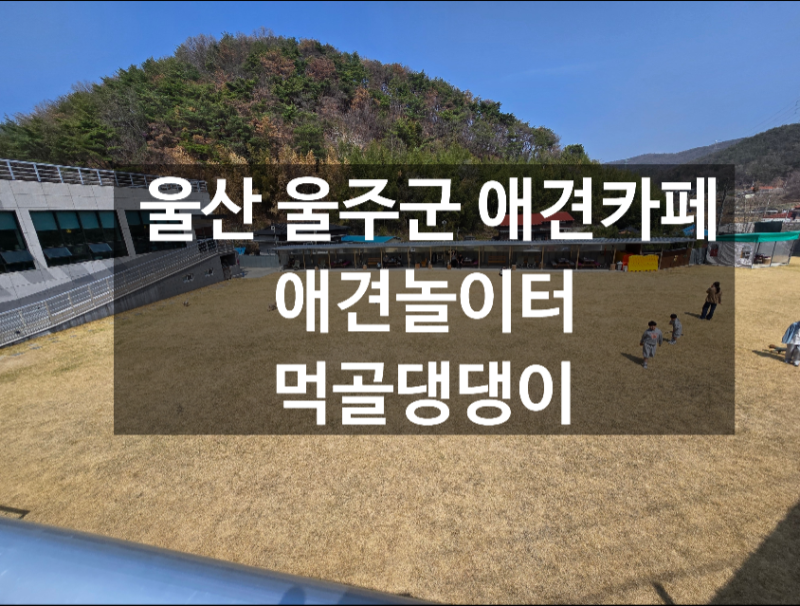 먹골댕댕이 — 울주군