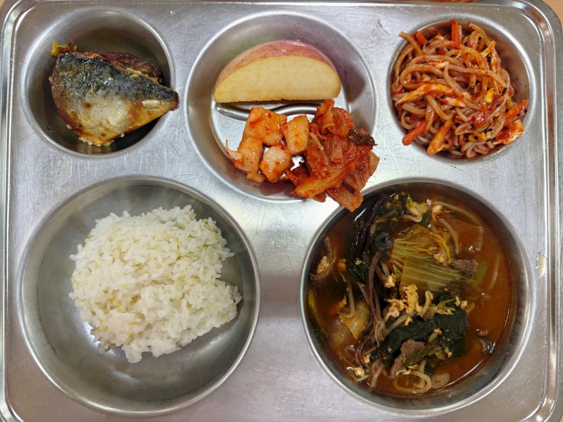 학교급식 단체급식 레시피 / 친환경기장밥 육개장 쫄면채소무침 고등어카레구이 깍두기 사....