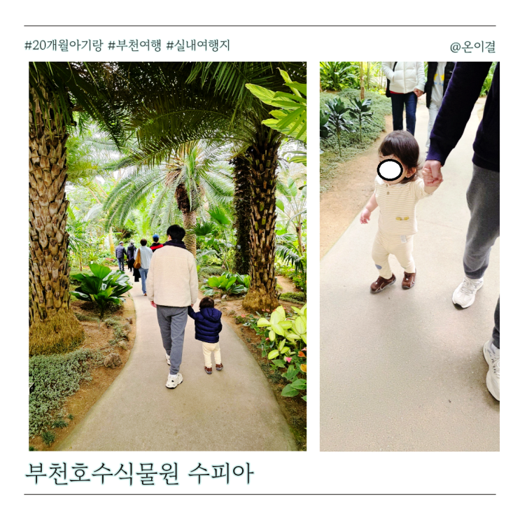  비 와도 걱정 없는 수도권 실내여행지 부천 상동호수공원 수피아 20개월 아기랑 나들이