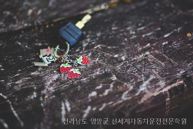 신세계 자동차운전전문학원 사진 3
