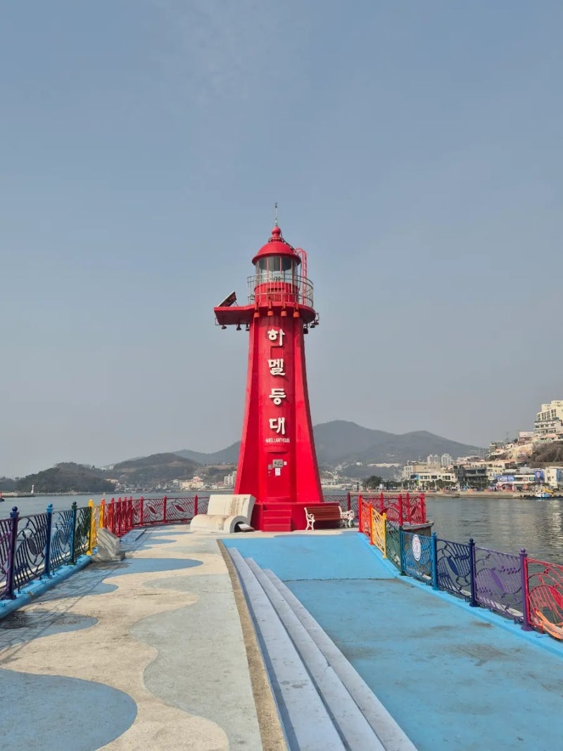 사진 7