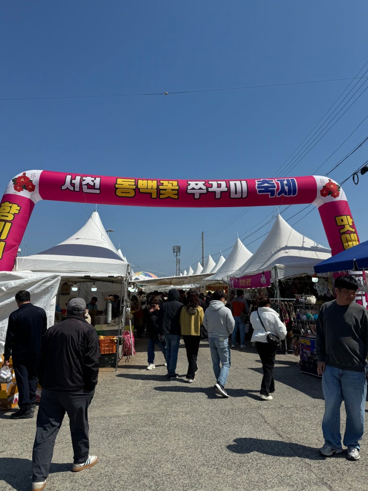  서천 동백꽃 주꾸미 축제다녀온 개인적인 솔직후기