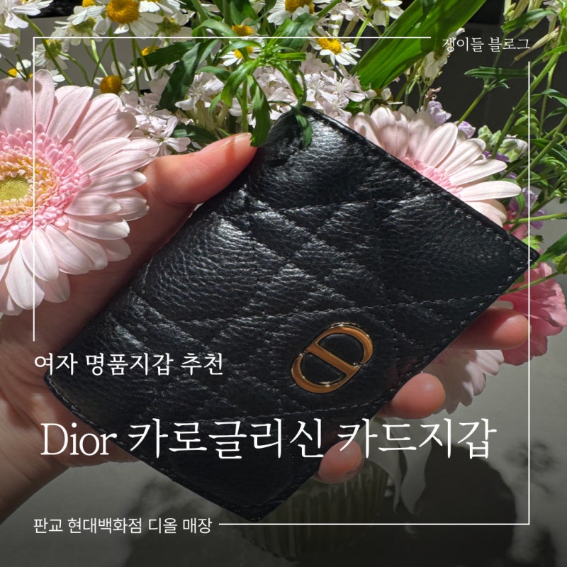 여자 명품지갑 추천 디올 카로글리신 카드지갑