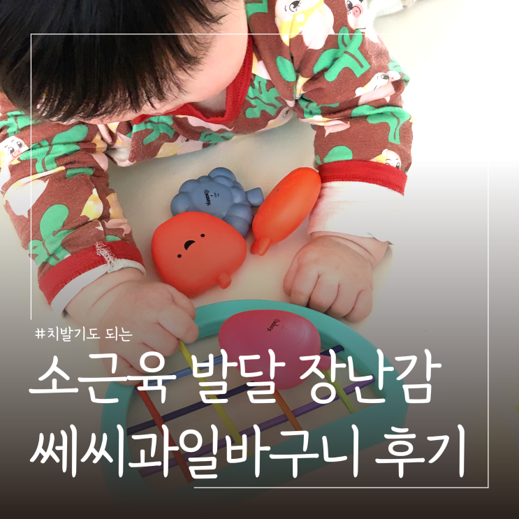  8개월9개월아기장난감 추천ㅣ소근육발달 쎄씨과일바구니