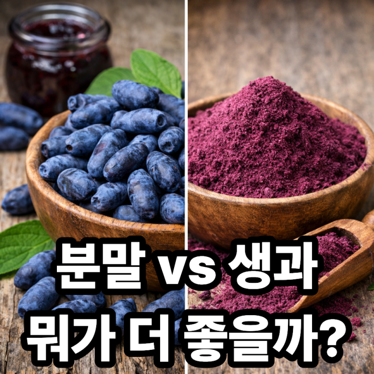  하스카프베리 분말 vs 생과, 뭐가 더 좋을까? 상황별 선택 기준