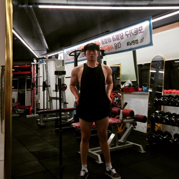 260330 어깨 이두 운동루틴 체형분석 식단관리