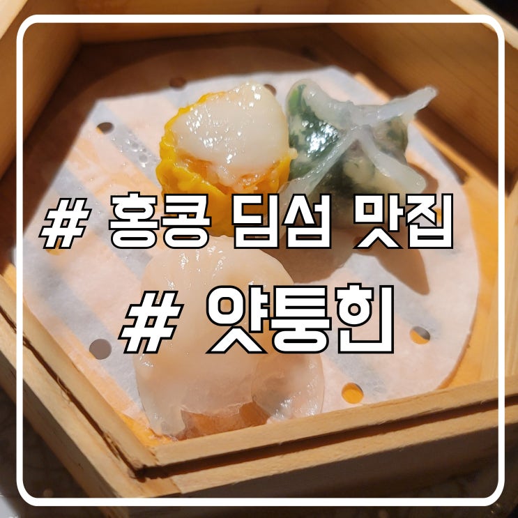 홍콩 딤섬 맛집 얏퉁힌 YatTungHeen｜파인다이닝 미쉐린 원스타 런치 아닌 세트 후기