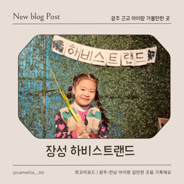  [내돈내산] 장성 아이랑 가볼만한 곳 하비스트랜드 꼬마 농부체험 공룡발굴단 후기
