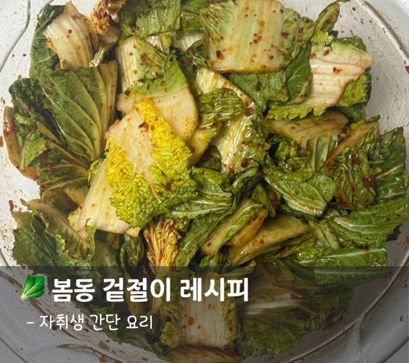1박2일 강호동 봄동비빔밥 레시피, 10분 완성 자취생 봄동겉절이 만들기