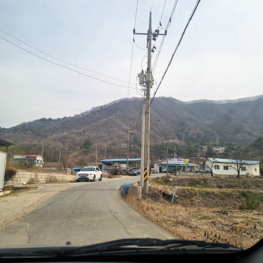 Kongkongiwacheongcheongi photo 1