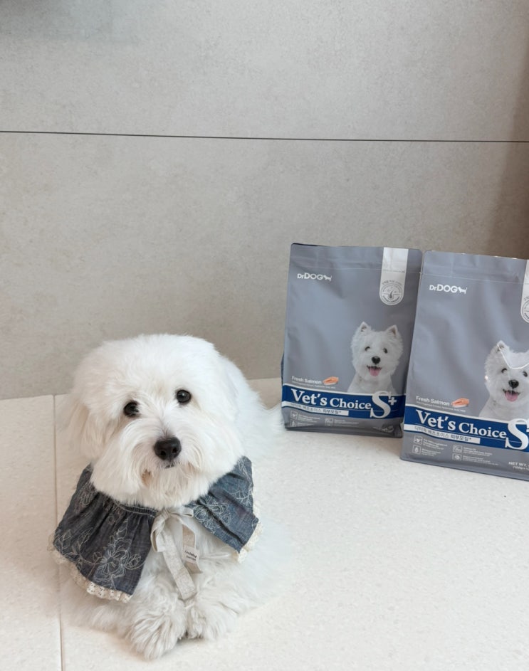  가수분해사료추천, 기호성까지 잡은 알러지사료 피부사료 고르는 법은?