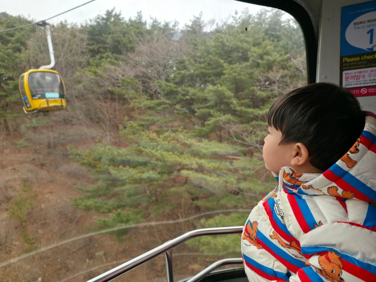  대구 팔공산 케이블카 주말 가격 주차