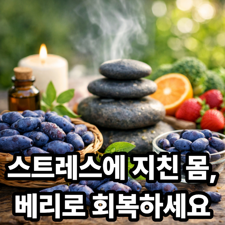  하스카프베리와 스트레스 완화, 항산화 작용