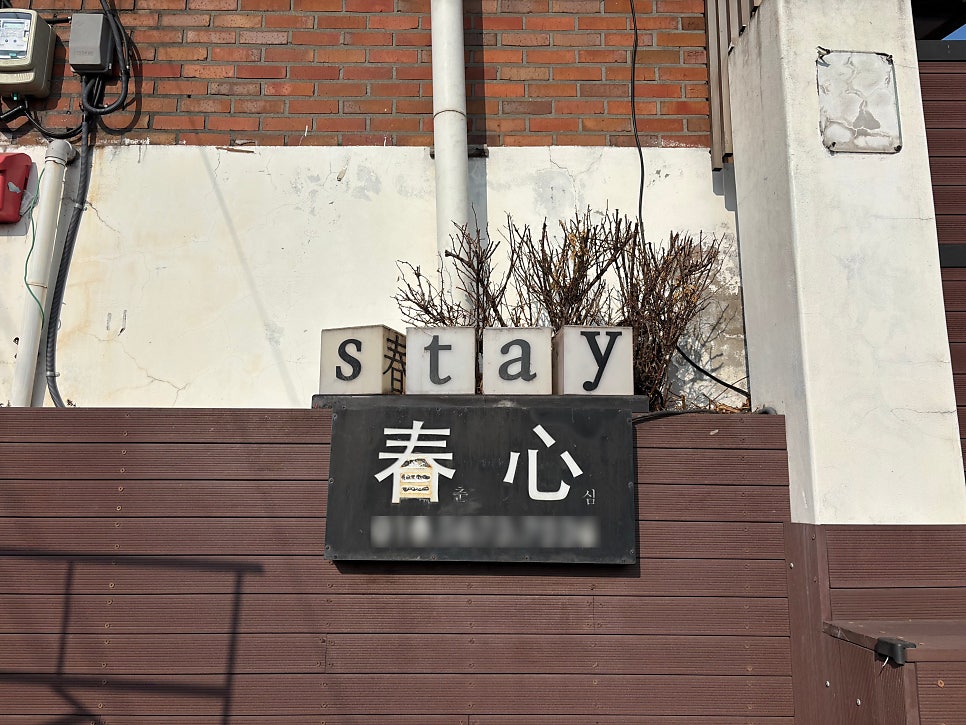 춘심 사진 2