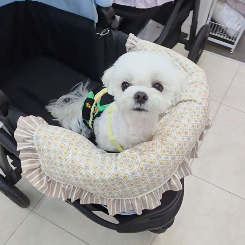 펫랜드