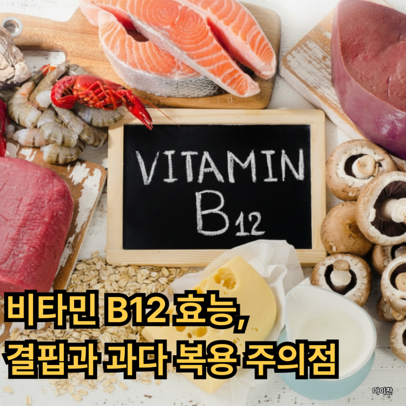 비타민 B12 효능, 결핍과 과다 복용 주의점까지 정리