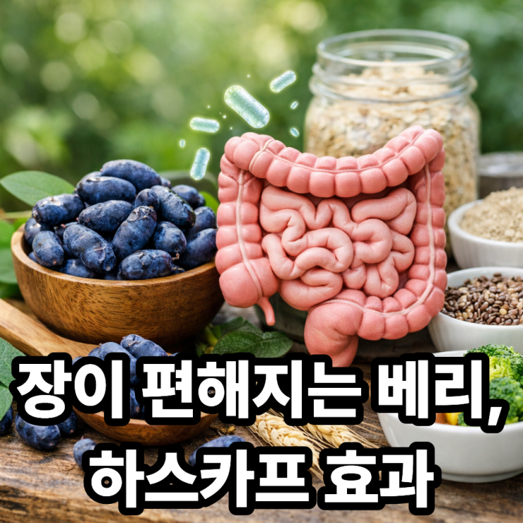  하스카프베리와 장 건강, 식이섬유 효과 분석