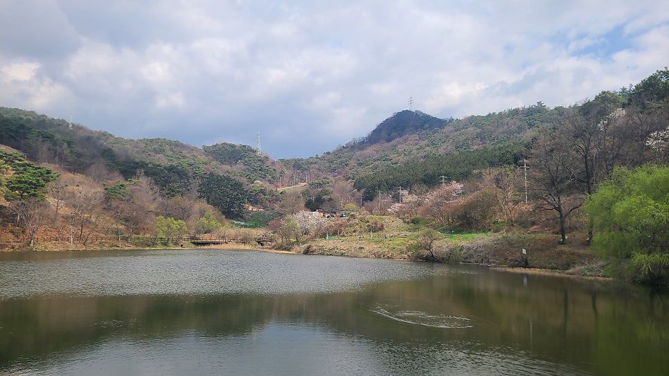 일심제 사진 3