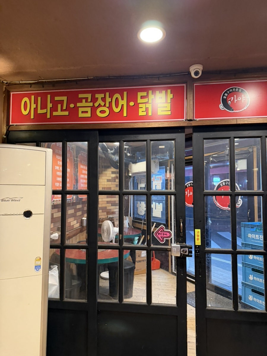 가야아나고곰장어 사진 2