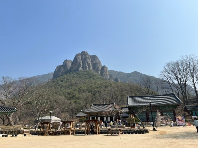 청송 주왕산 국립공원 주봉 코스｜상의 주차장 출발, 용추폭포까지 | 주왕산 청솔 식당