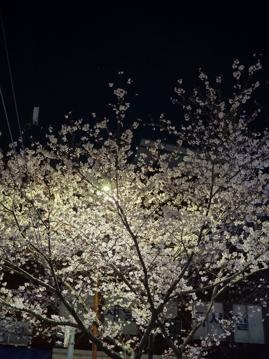 미미관마라탕 구서역점 사진 4