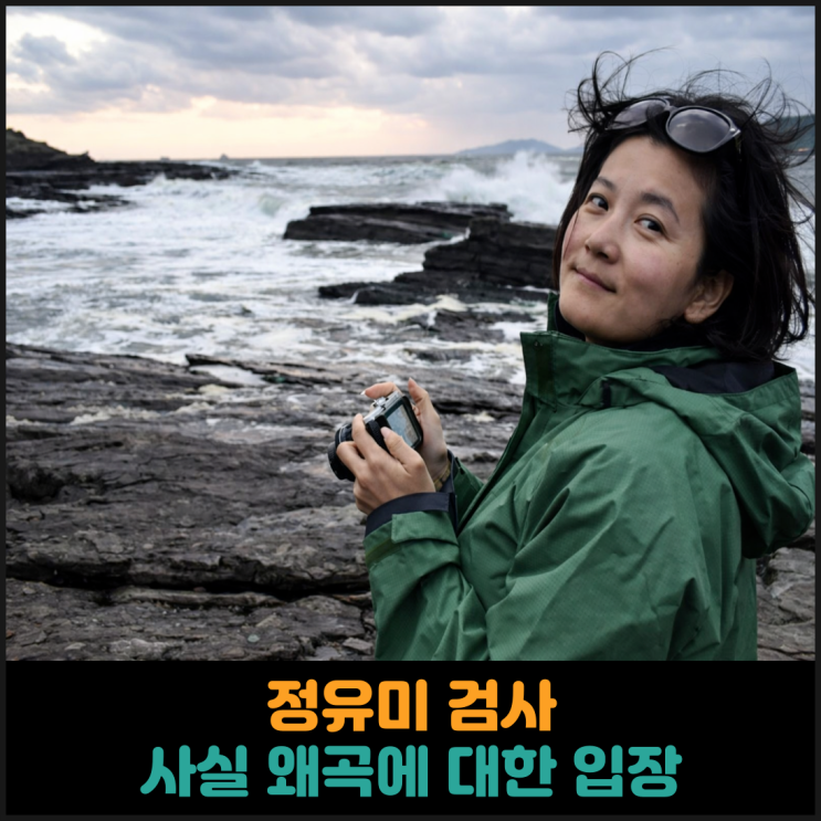 사실 왜곡에 대한 정유미 검사 글