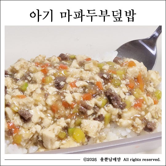 아기 마파두부덮밥 만들기 순하게 먹이는 두부요리