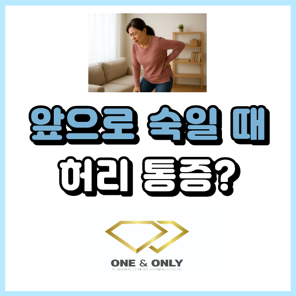  앞으로 숙일 때 허리 통증 원인과 운동법 : 동래 PT 실제 케이스