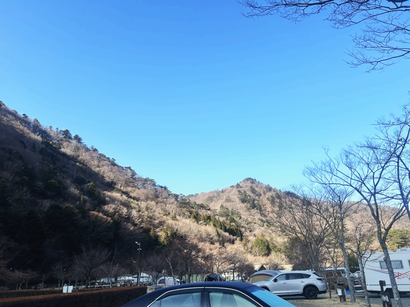 도그런 — 광주시
