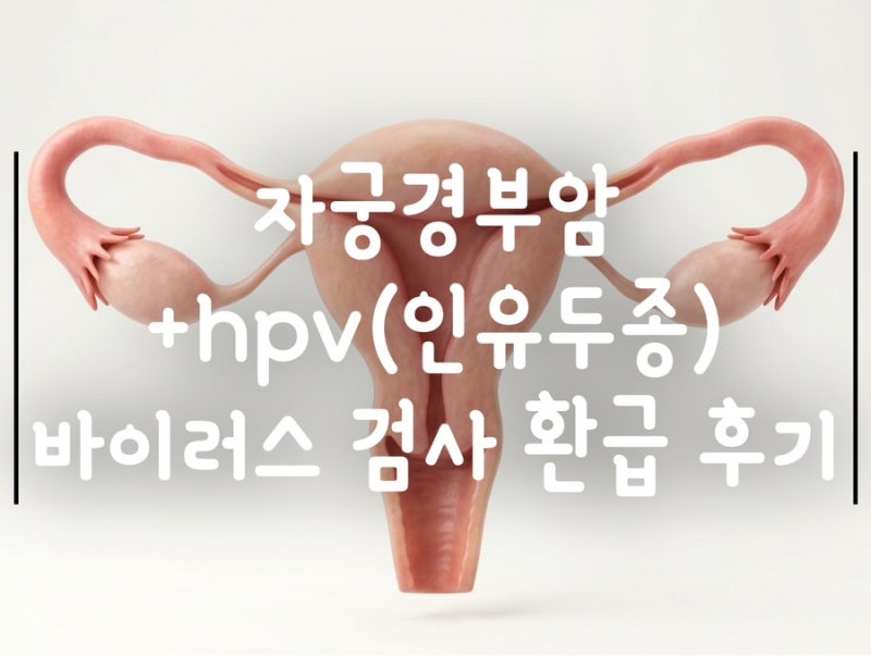 자궁경부암+hpv 바이러스(인유두종) 검사 비급여 실비 환급받은 후기!