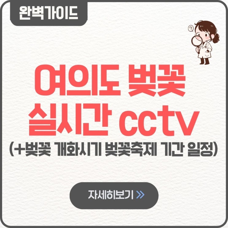  여의도 벚꽃 실시간 cctv 벚꽃 개화시기 만개현황 2026 벚꽃축제 기간 일정