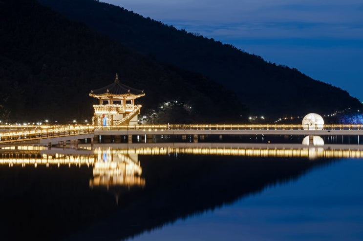  대구 야경 명소, 송해공원에서 반짝이는 백세정을 담다