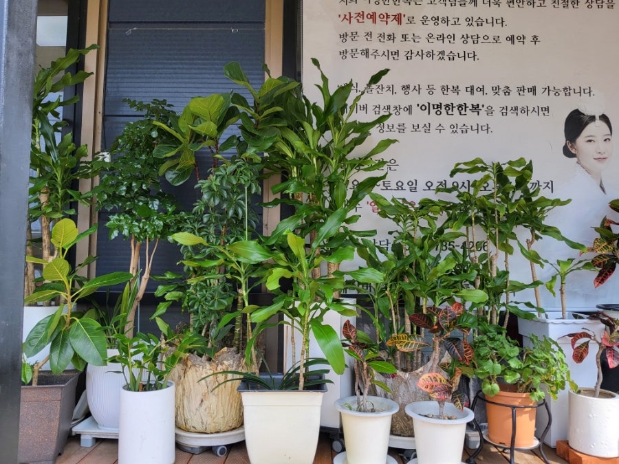 핑거커피 사진 1