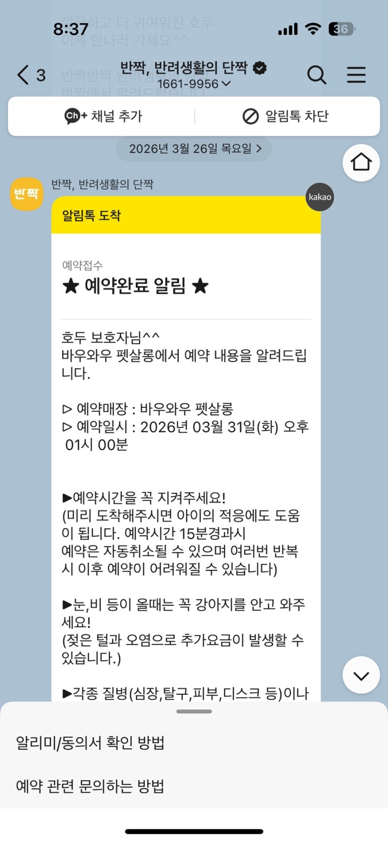 사진 3