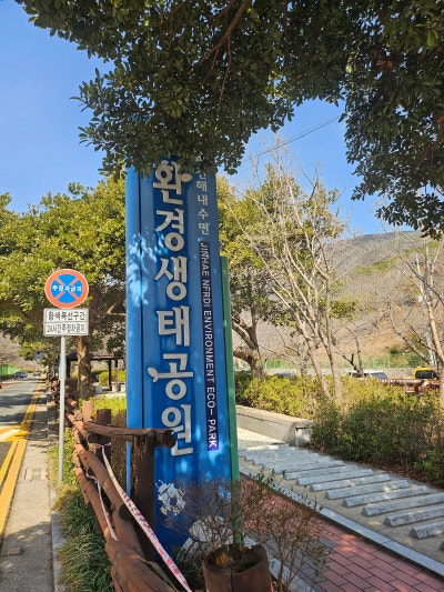 사진 4