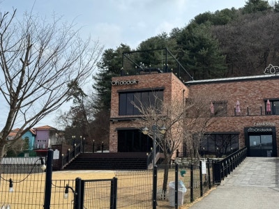 사진 2