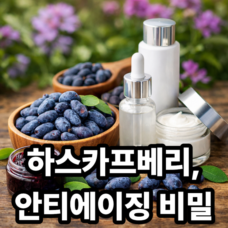  하스카프베리 피부 미용 효과, 안티에이징에 좋은 이유 총정리