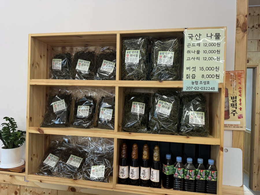 솔밭 사진 4